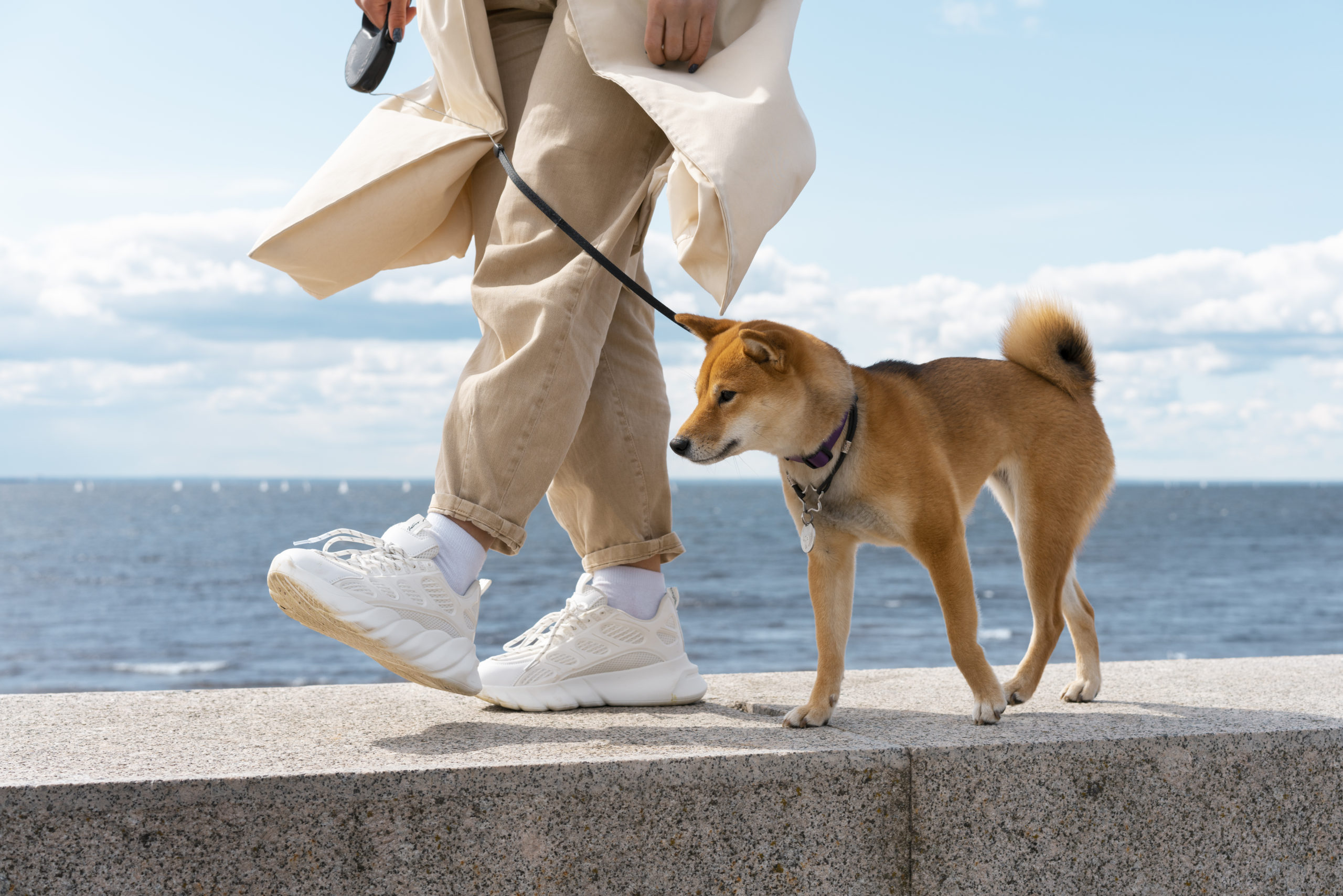side-view-owner-walking-with-dog